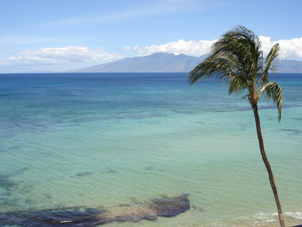 Kaleialoha Condominiums Лахайна Экстерьер фото