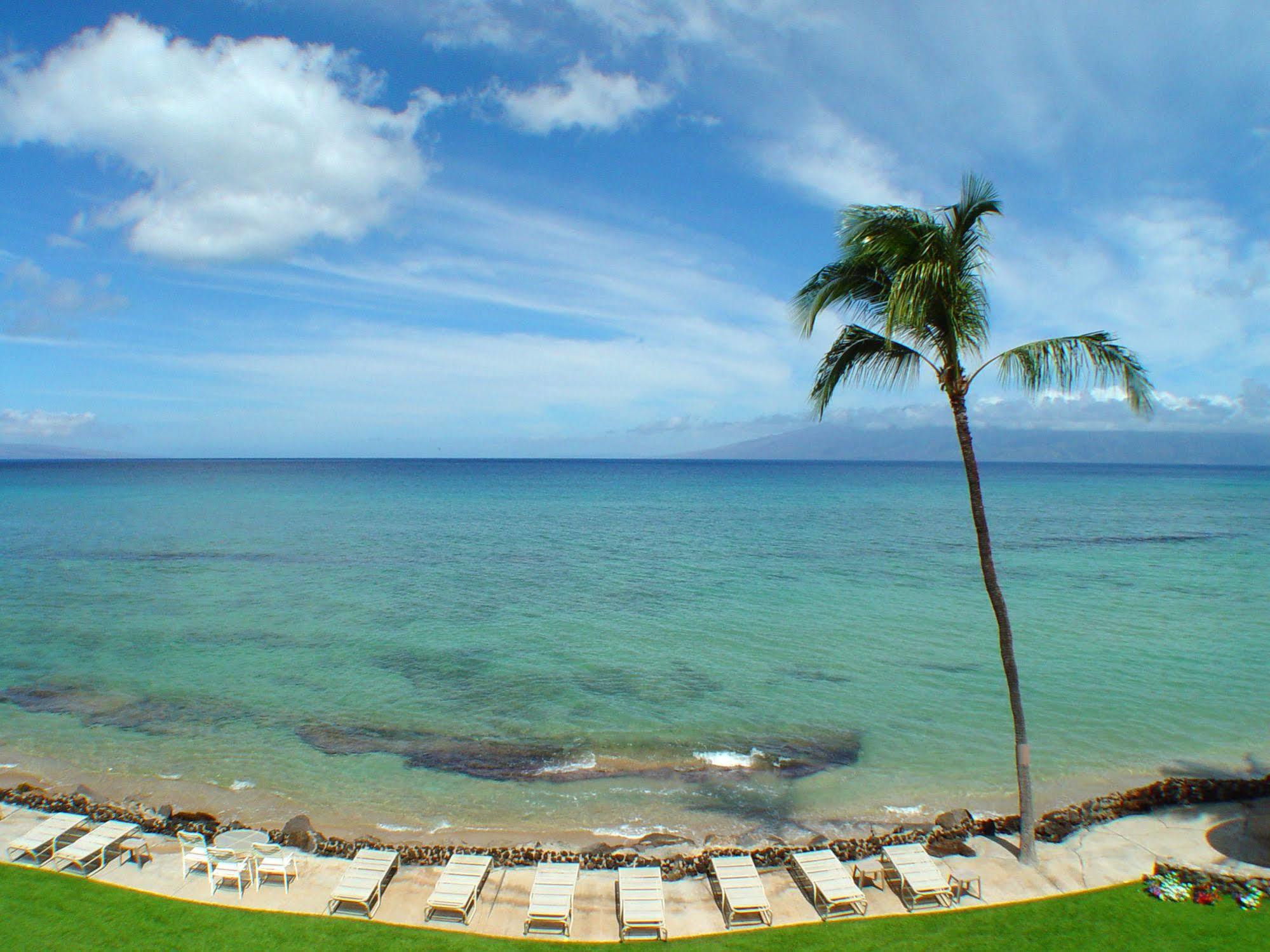 Kaleialoha Condominiums Лахайна Экстерьер фото